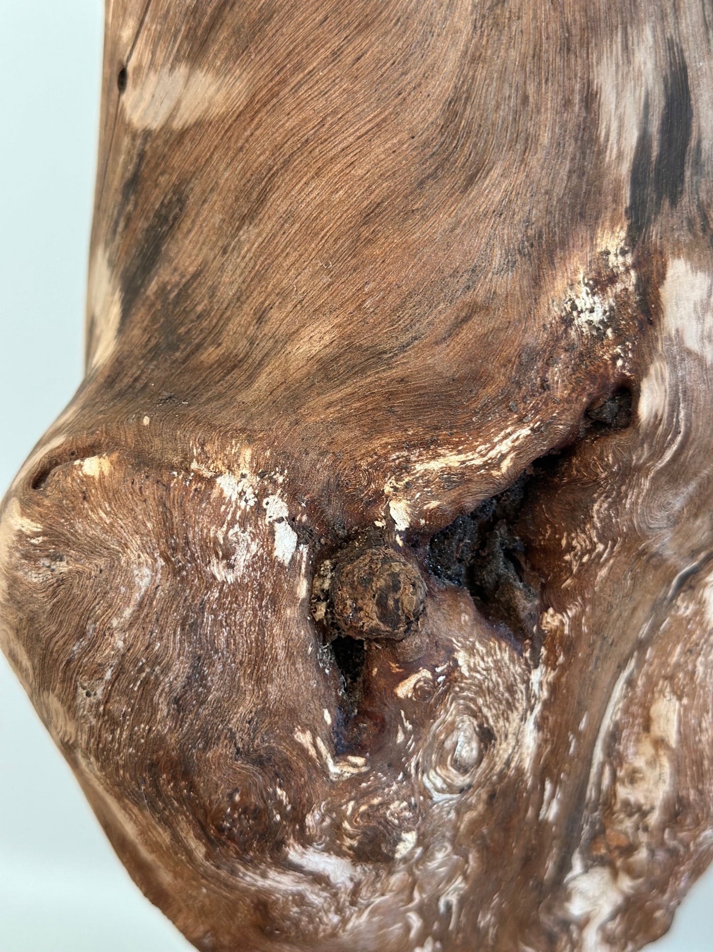 Nudo Pedestal